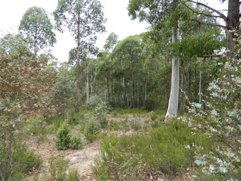 White Timber Rd LACHLAN, TAS, Lachlan - Image 1