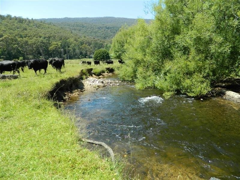 2540 Gordon River Rd NATIONAL PARK, TAS, 2540 Gordon River Rd National Park - Image 1