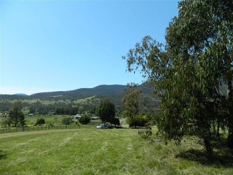 49 Gaul  Gaul  Lane LACHLAN, TAS, Lachlan - Image 1