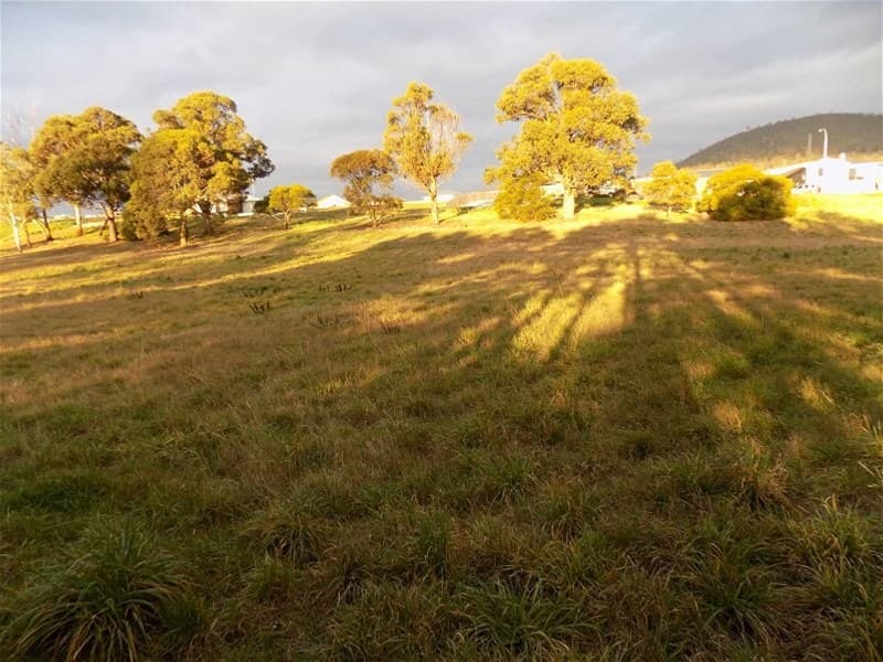 39 Lower Road NEW NORFOLK, TAS, New Norfolk - Image 1