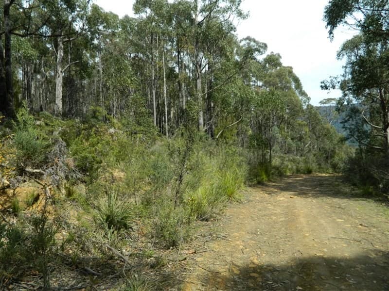 Jefferys Track LACHLAN, TAS, Jefferys Track Lachlan - Image 1