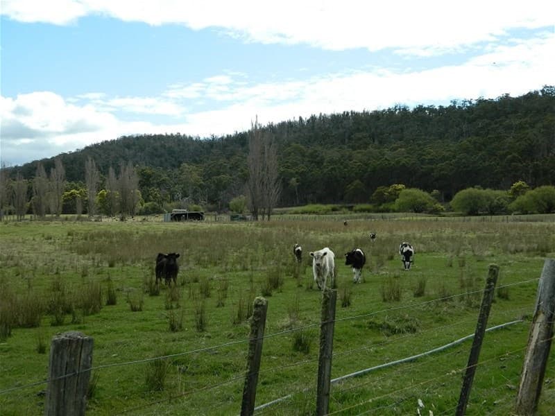 120 Ellendale Road WESTERWAY, TAS, Westerway - Image 1