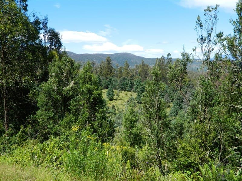 Braslins Road BLACK HILLS, TAS, Black Hills - Image 1