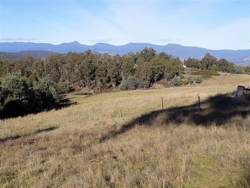 32 1/32 Grahams Road BLACK HILLS, TAS, Black Hills - Image 1