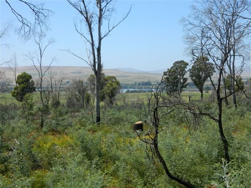 2069 Ellendale Road OUSE, TAS, Ouse - Image 1