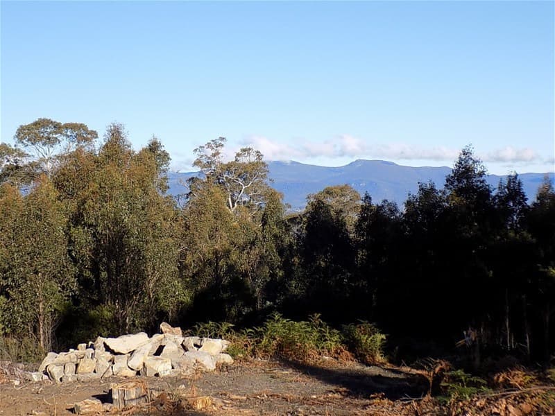 32 2/32 Grahams Road BLACK HILLS, TAS, Black Hills - Image 1