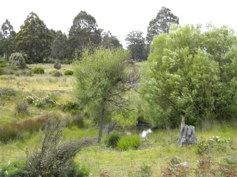 1239 Strickland Rd OUSE, TAS, Ouse - Image 1