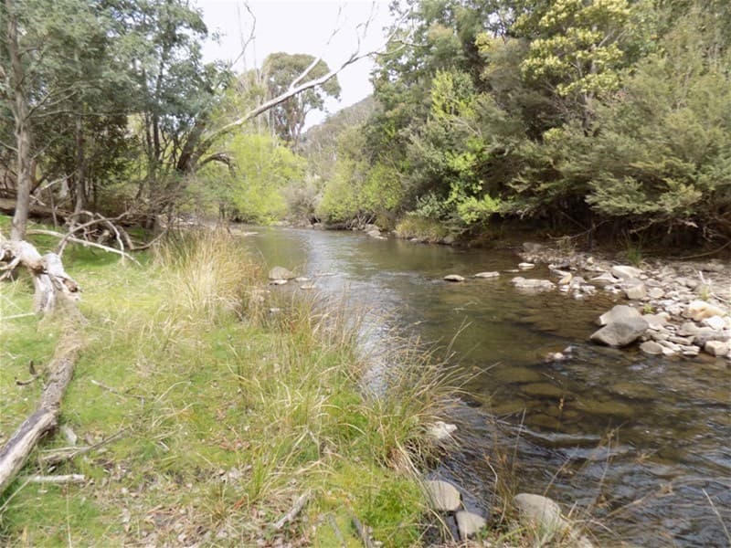 590 Molesworth Road MOLESWORTH, TAS, Molesworth - Image 1