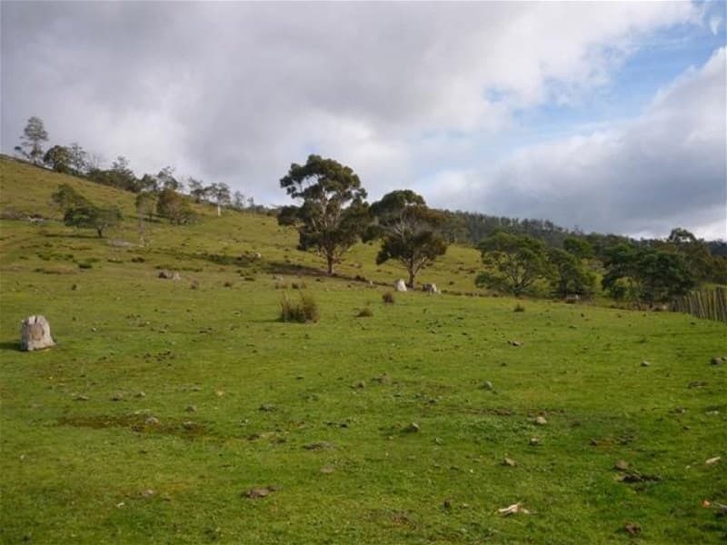 123 Moores Road LACHLAN, TAS, Lachlan - Image 1
