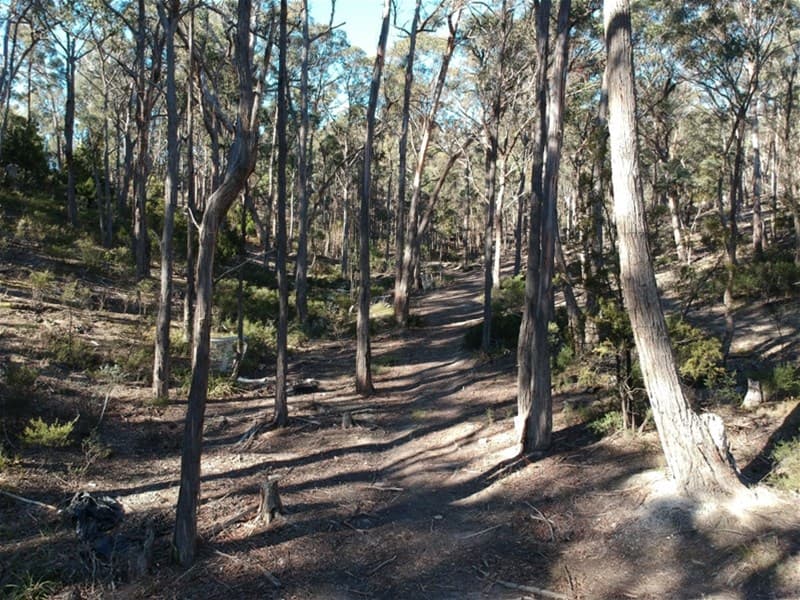 220 Ironstone Gully Road LACHLAN, TAS, Lachlan - Image 1
