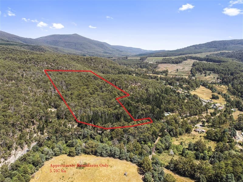 Gordon River Road NATIONAL PARK, TAS, Gordon River Road National Park - Image 1