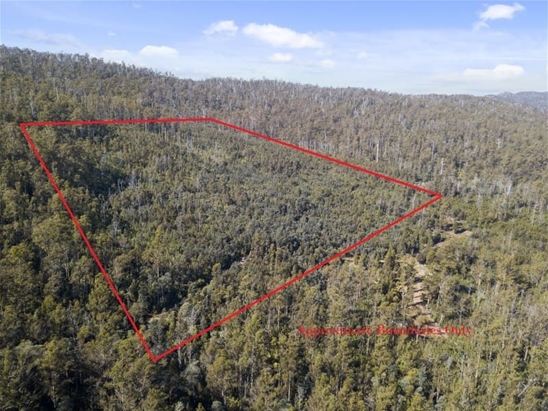 430 Braslins Road BLACK HILLS, TAS, Black Hills - Image 1