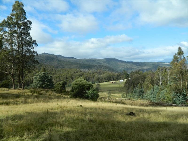 330 Braslins Road BLACK HILLS, TAS, Hills, - Image 1