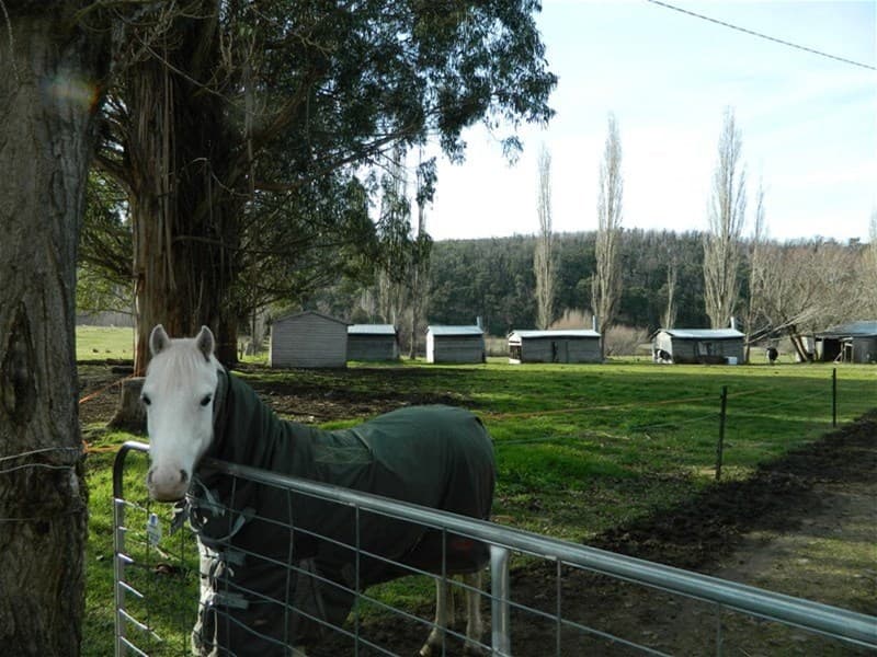 73 High Street, New Norfolk, TAS, 7140, Westerway, - Image 1