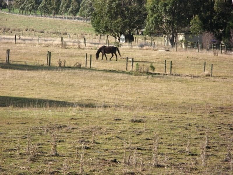 50 Leesons Rd WESTERWAY, TAS, Westerway, - Image 1