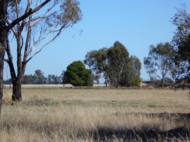 26 Waverly Rd BERRIGAN NSW, Berrigan - Thumbnail 3