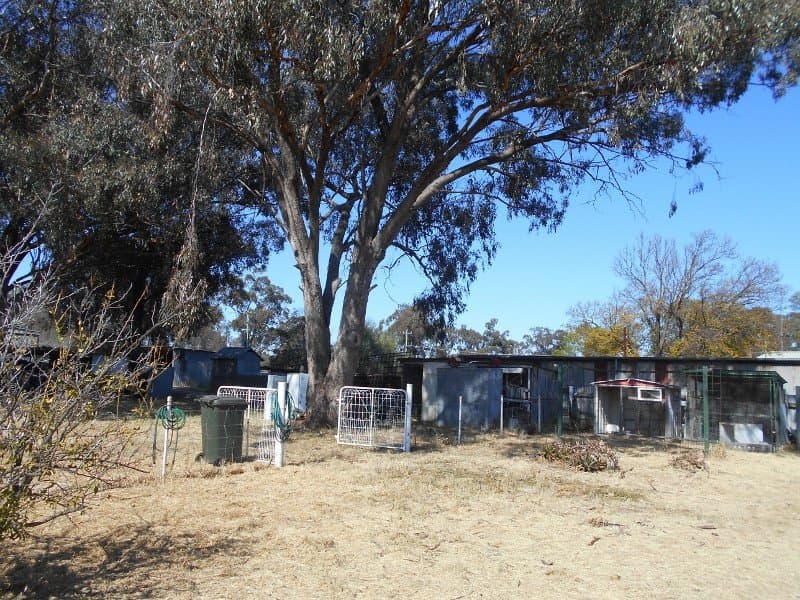 83 Denison St BERRIGAN NSW, Berrigan - Thumbnail 8