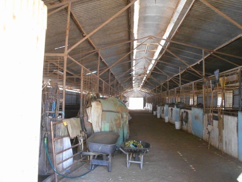 102-104 Barooga St BERRIGAN NSW, Berrigan - Thumbnail 2