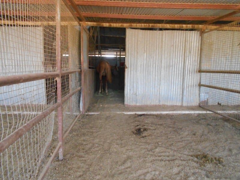 102-104 Barooga St BERRIGAN NSW, Berrigan - Thumbnail 4