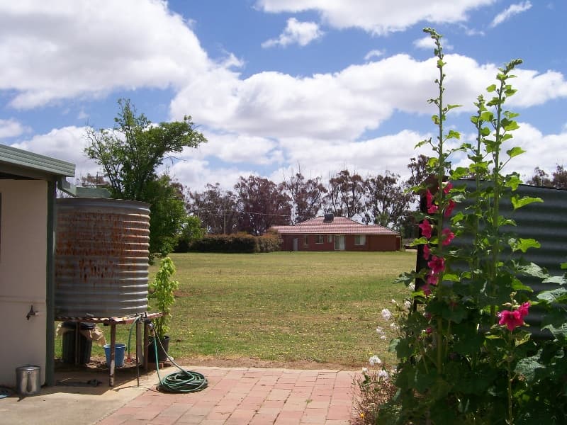 14 Flynn St BERRIGAN NSW, Berrigan - Thumbnail 4