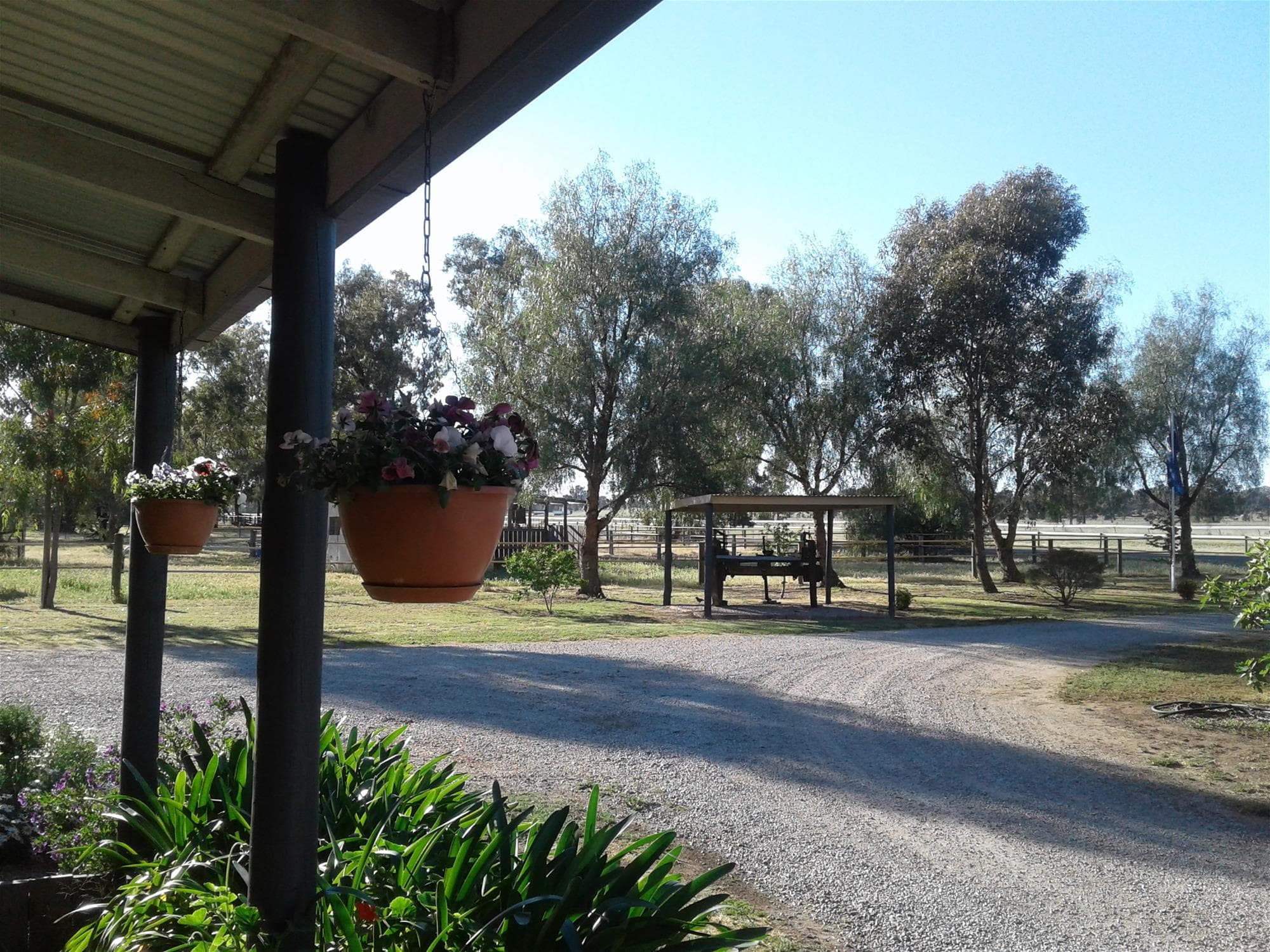 50  RACECOURSE ROAD BERRIGAN NSW, Berrigan - Thumbnail 3