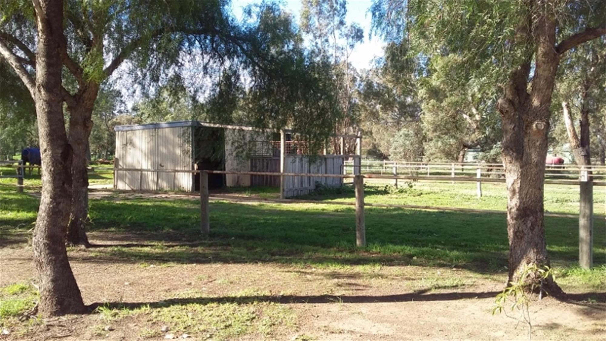 50  RACECOURSE ROAD BERRIGAN NSW, Berrigan - Thumbnail 8