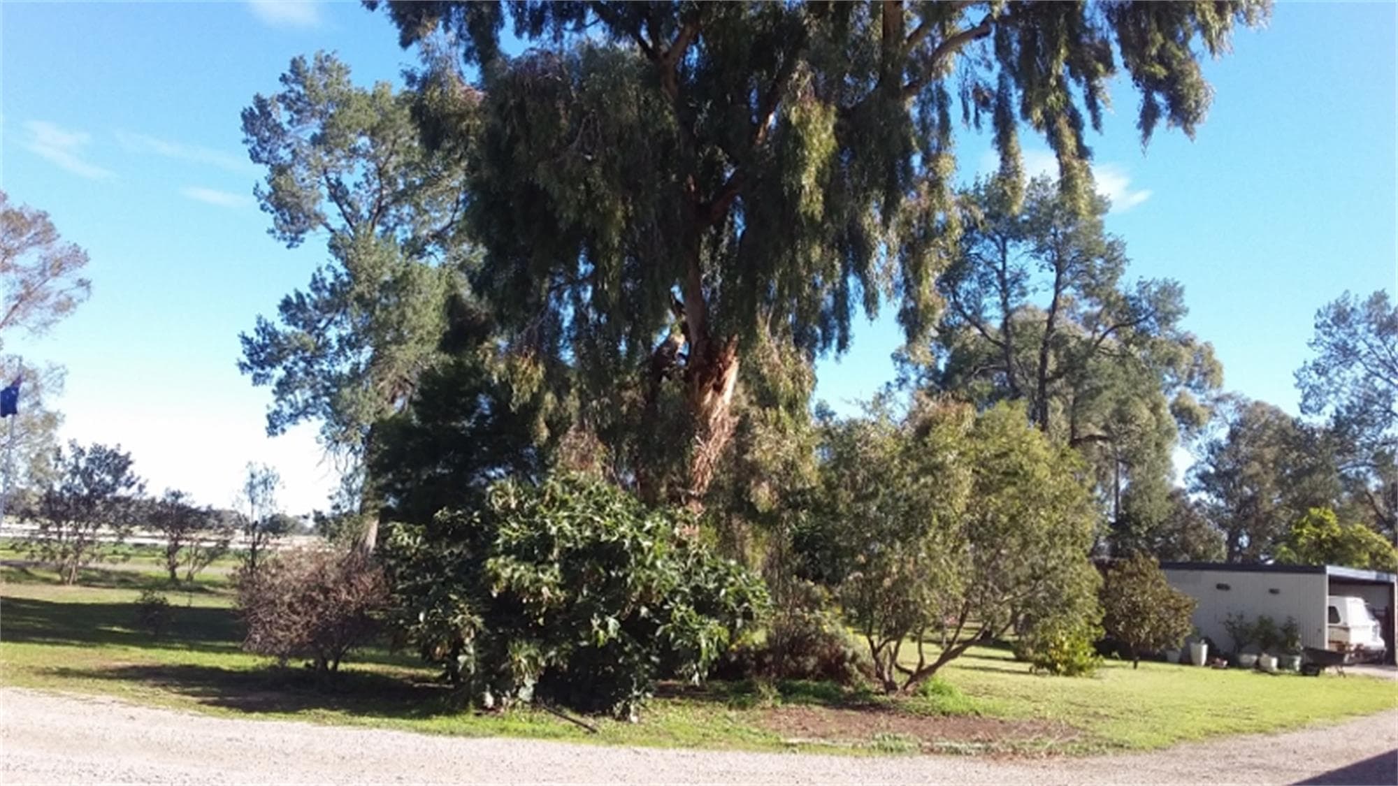 50  RACECOURSE ROAD BERRIGAN NSW, Berrigan - Thumbnail 6