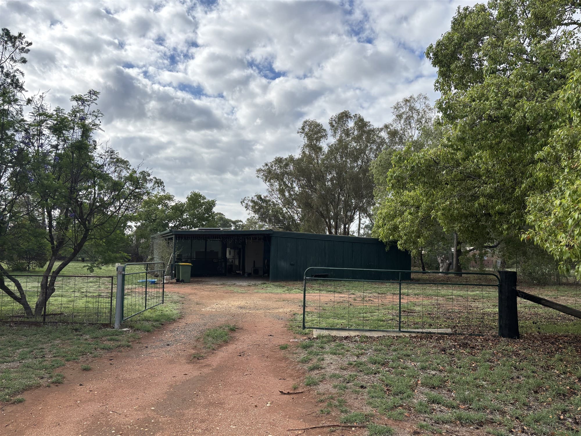 37 Rankin Street  OAKLANDS NSW, Oaklands - Thumbnail 4