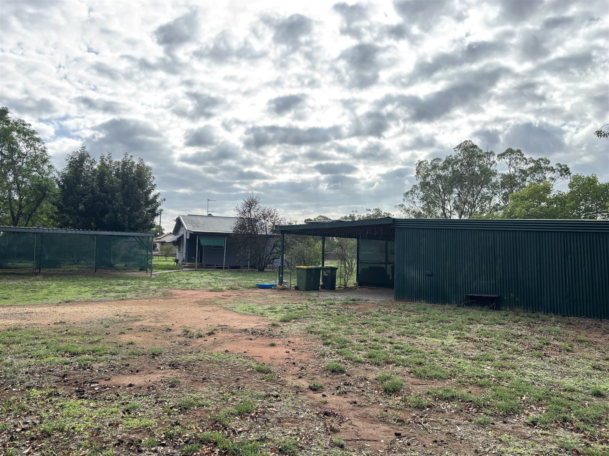 37 Rankin Street  OAKLANDS NSW, Oaklands - Thumbnail 5