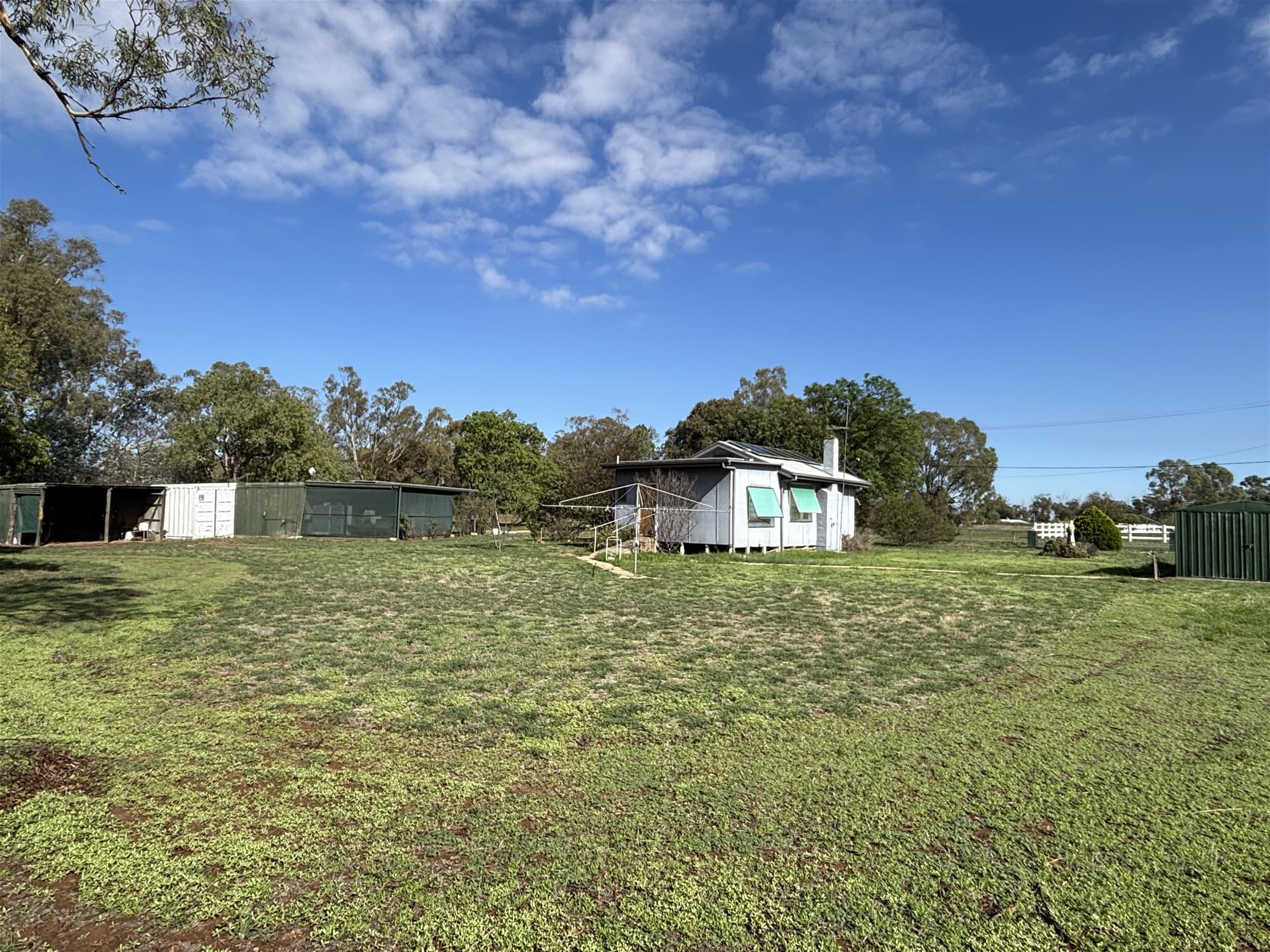 37 Rankin Street  OAKLANDS NSW, Oaklands - Thumbnail 6