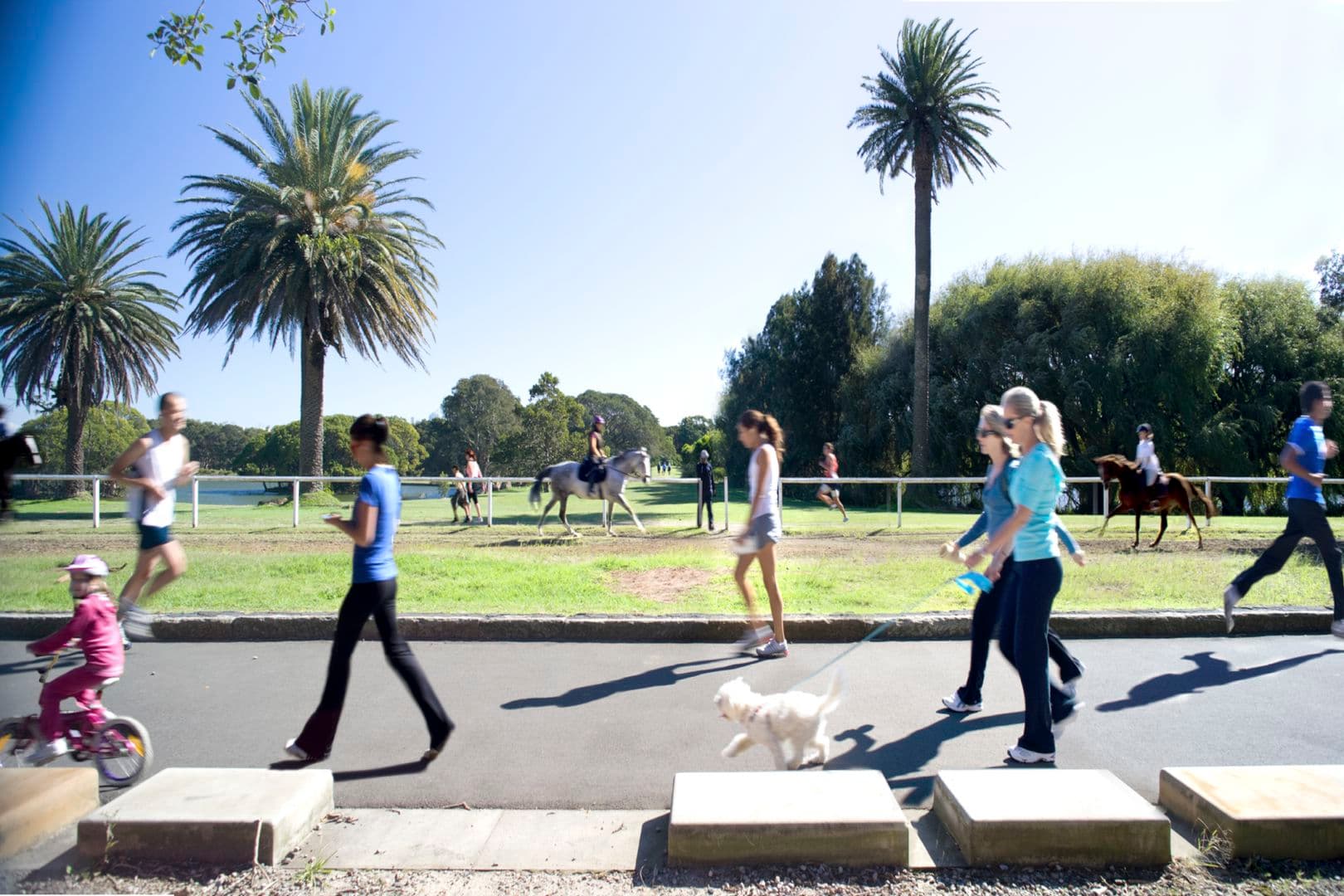 Unit 24, 228 More Park Road, Paddington NSW, Paddington - Thumbnail 3
