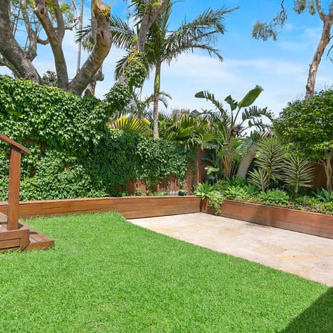 20 Pine Street, Randwick NSW, Randwick - Thumbnail 5