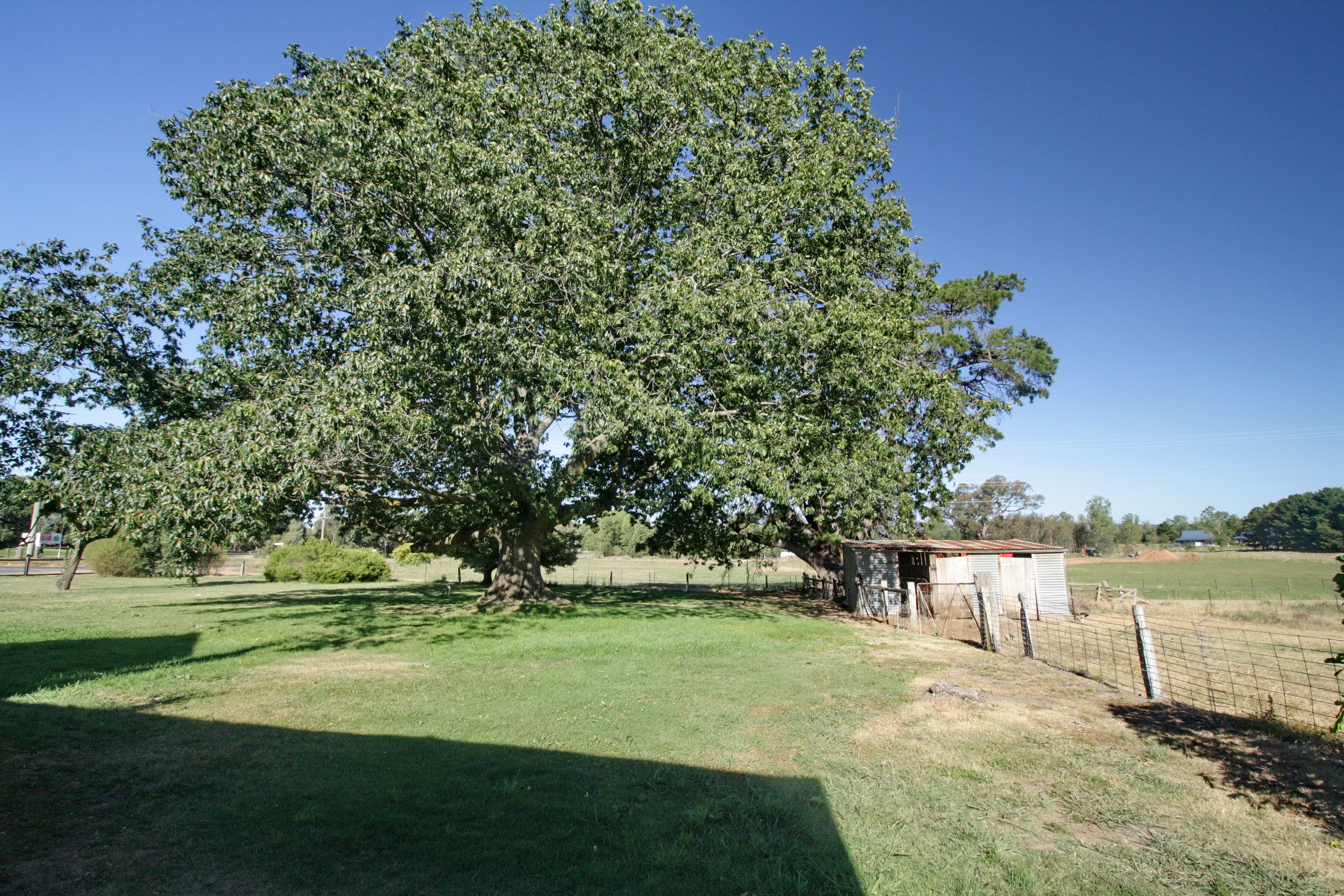 210 Malcolm Street, Mansfield, Mansfield - Image 1