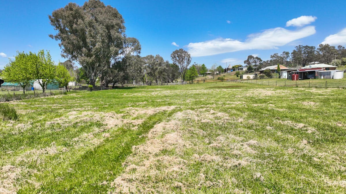 82 - 84 Frederick Street, Bendemeer, NSW, 2355, Bendemeer - Thumbnail 8