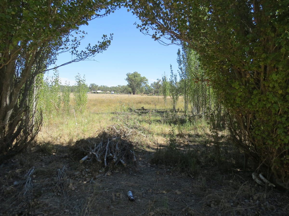 7 Griffith Street, Greenethorpe, NSW, 2809, Greenethorpe - Thumbnail 5