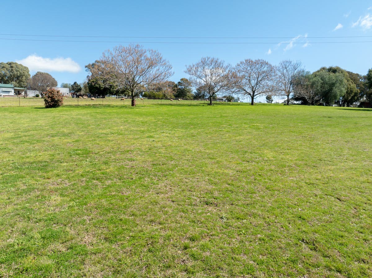 12 Loftus Street, Cargo, NSW, 2800, Cargo - Thumbnail 3