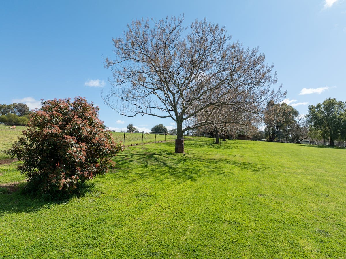 12 Loftus Street, Cargo, NSW, 2800, Cargo - Thumbnail 6