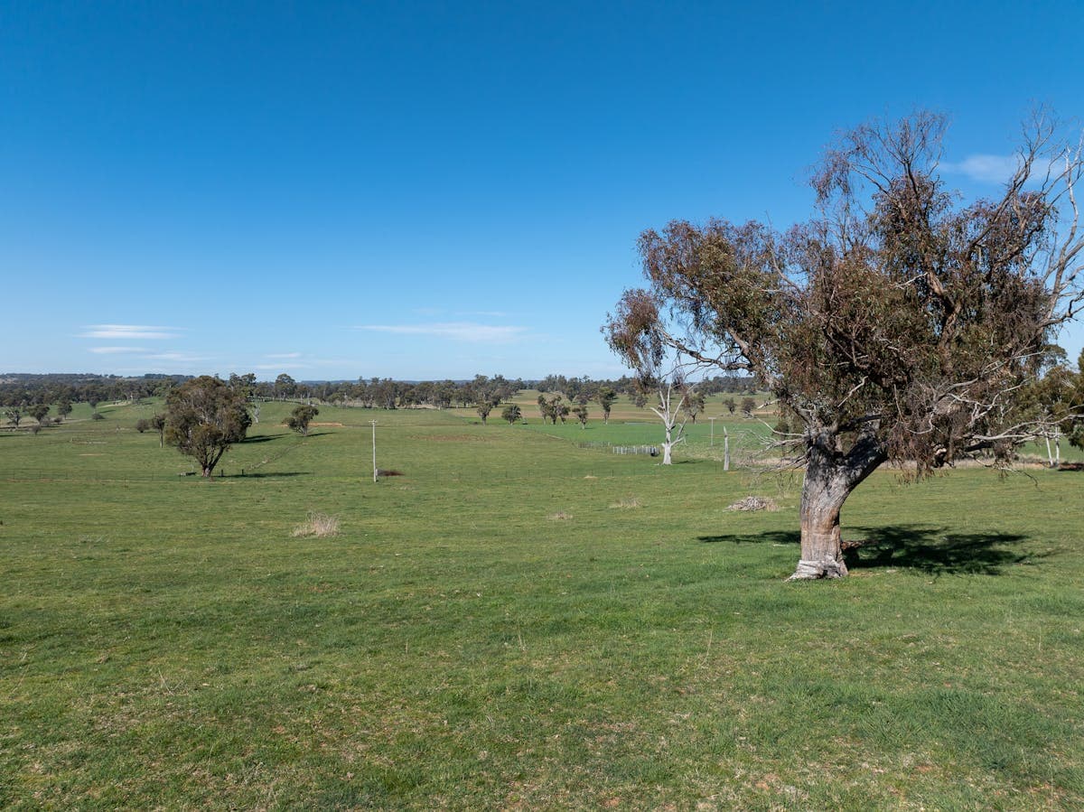 101 Kentucky Road, Neville, NSW, 2799, Neville - Thumbnail 3