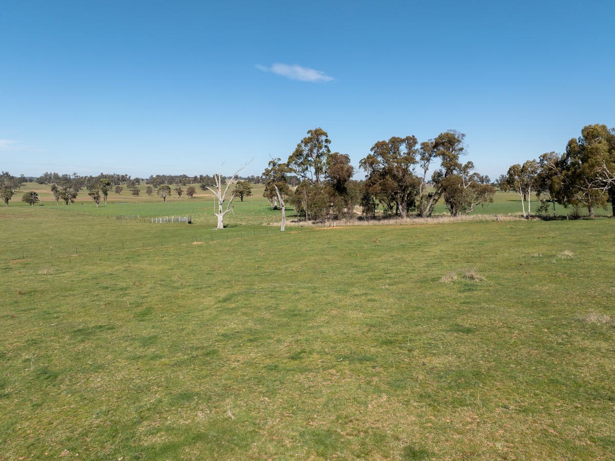 101 Kentucky Road, Neville, NSW, 2799, Neville - Thumbnail 4