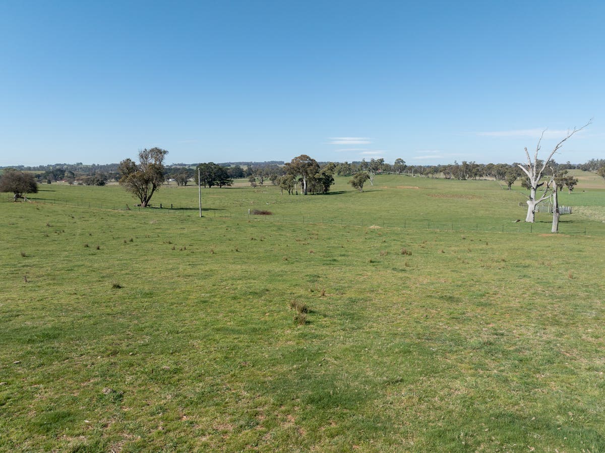 101 Kentucky Road, Neville, NSW, 2799, Neville - Thumbnail 5
