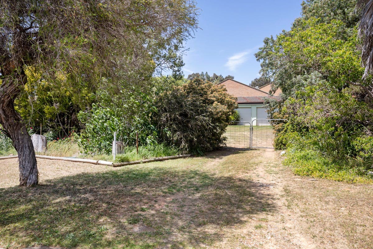 5 Farrer Street, Cowra, NSW, 2794, Cowra - Thumbnail 4