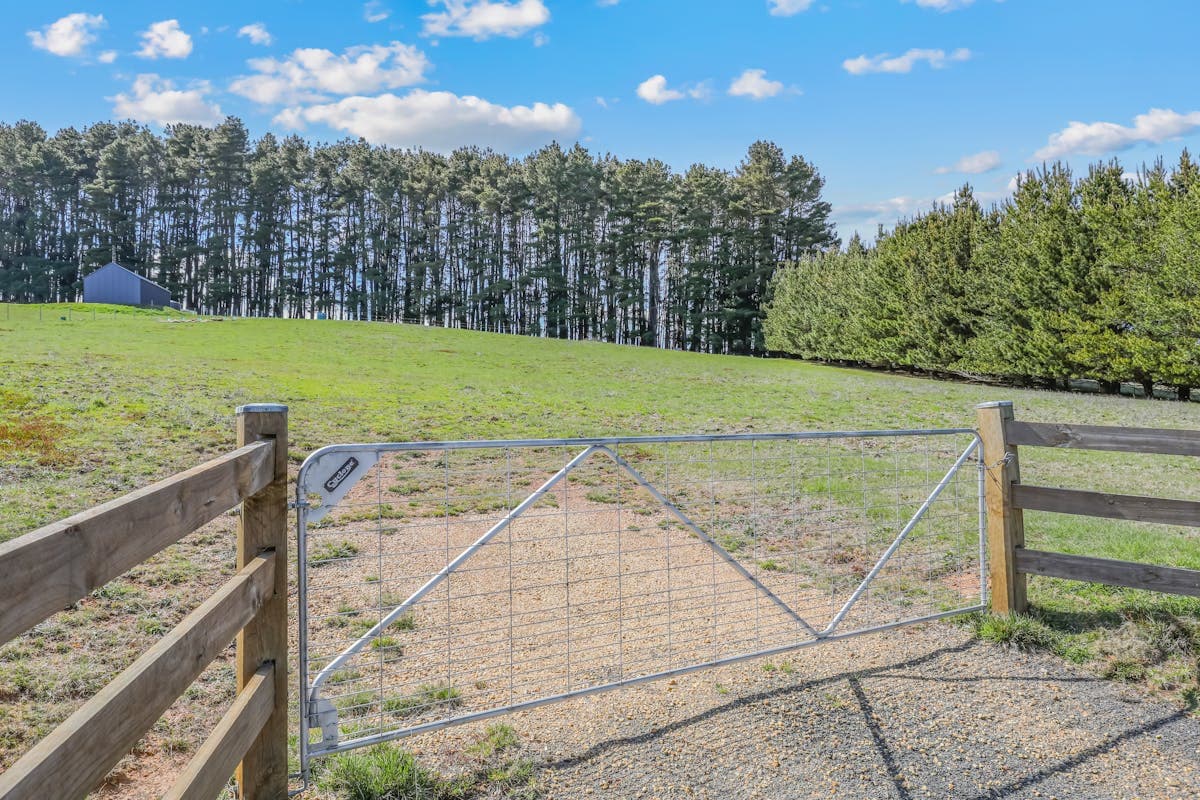 65 Beattie Road, Oberon, NSW, 2787, Oberon - Thumbnail 7