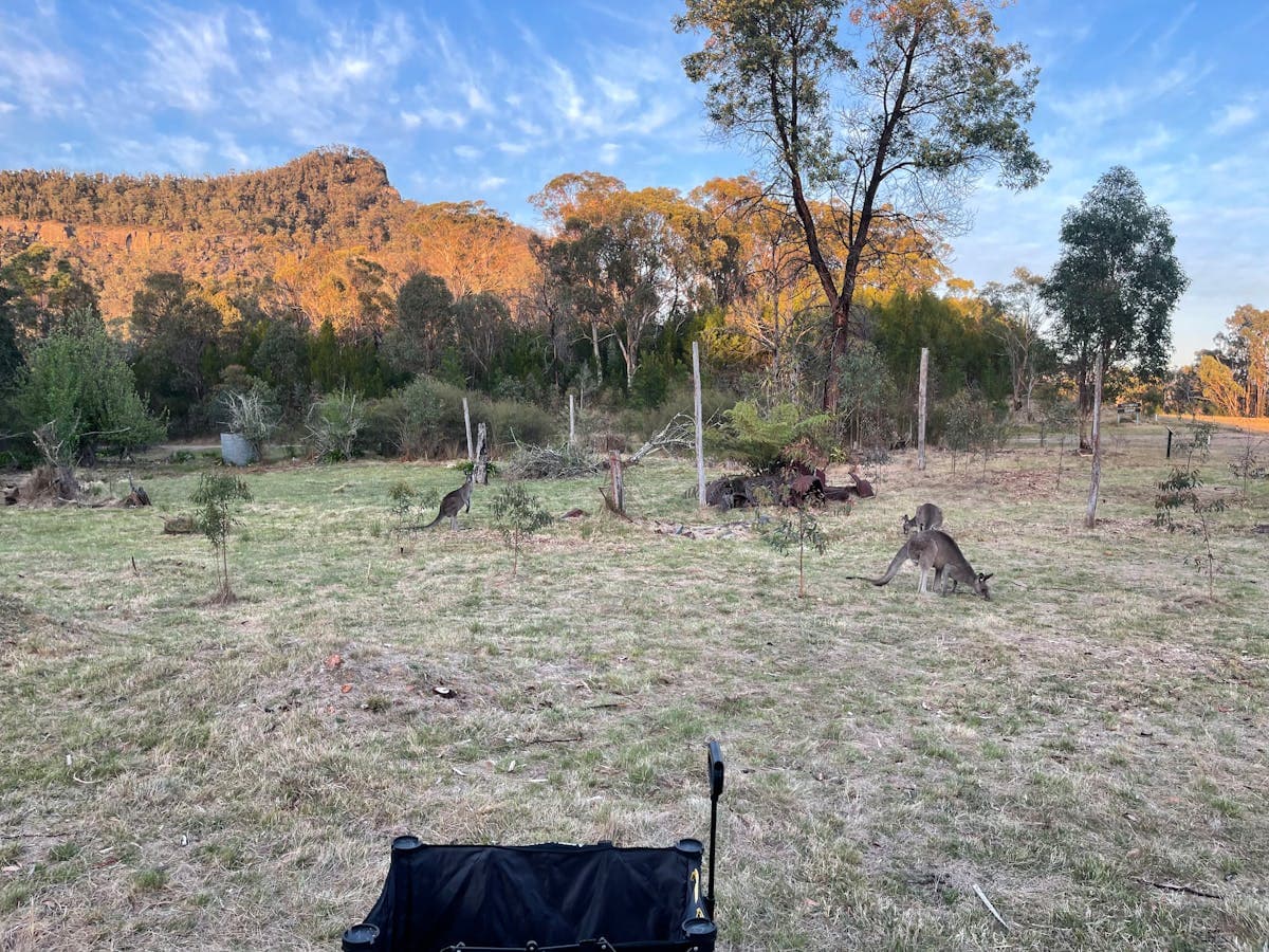 Lot 18 Kerry Street, Yerranderie, NSW, 2787, Yerranderie - Thumbnail 2