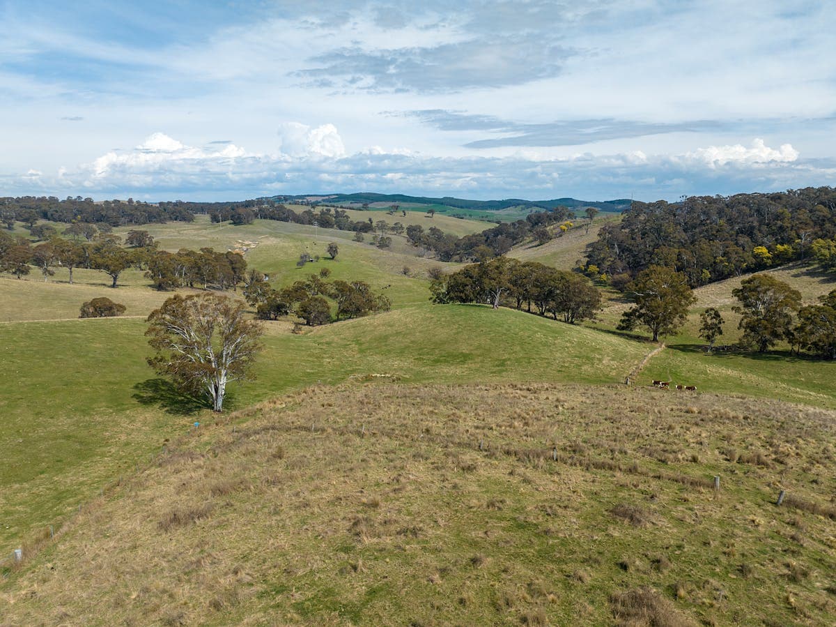 1021 O'Connell Road, Oberon, NSW, 2787, Oberon - Thumbnail 6