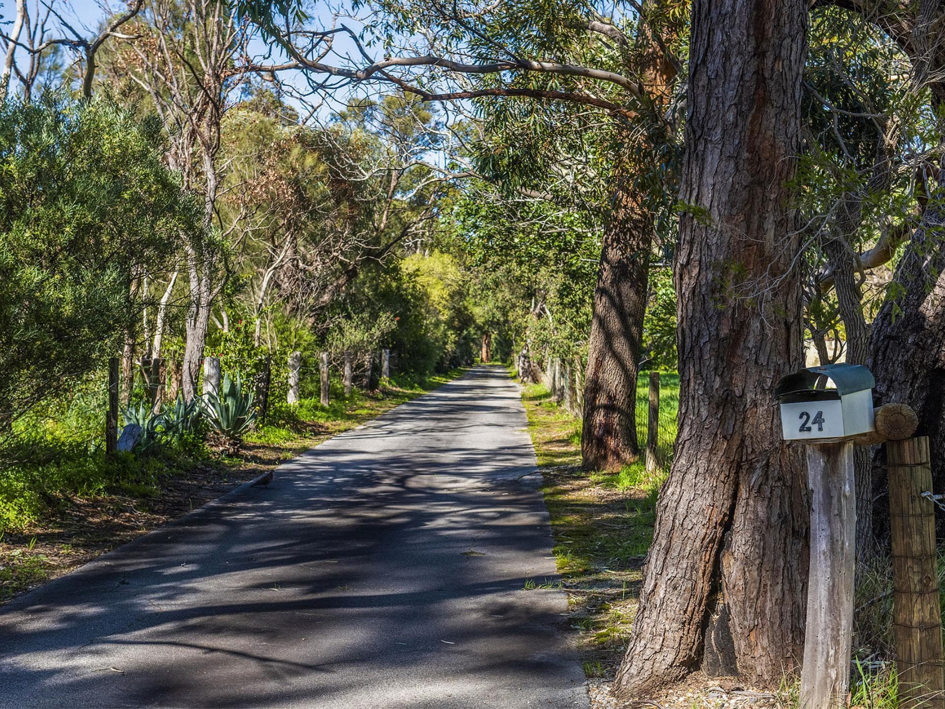 24 BRUCE ROAD, MAIDA VALE WA, Maida Vale - Thumbnail 8