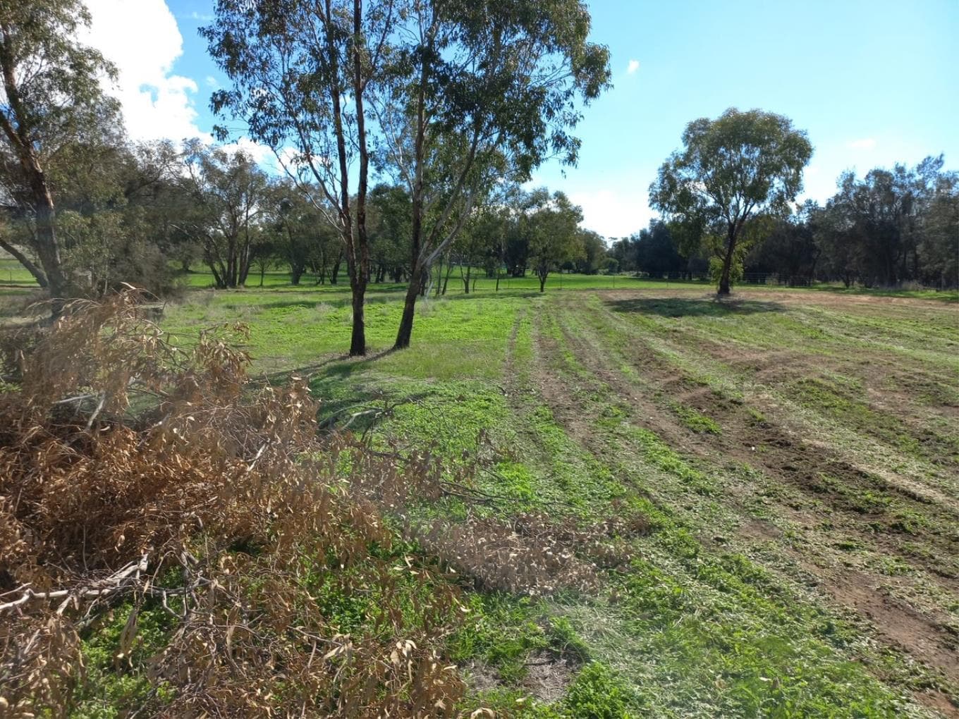 22/(LOT 10) DUFFIELD STREET, BEVERLEY WA, Beverley - Thumbnail 2