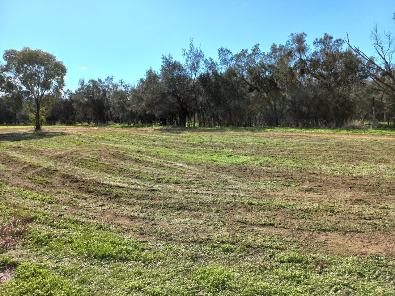 22/(LOT 10) DUFFIELD STREET, BEVERLEY WA, Beverley - Thumbnail 3