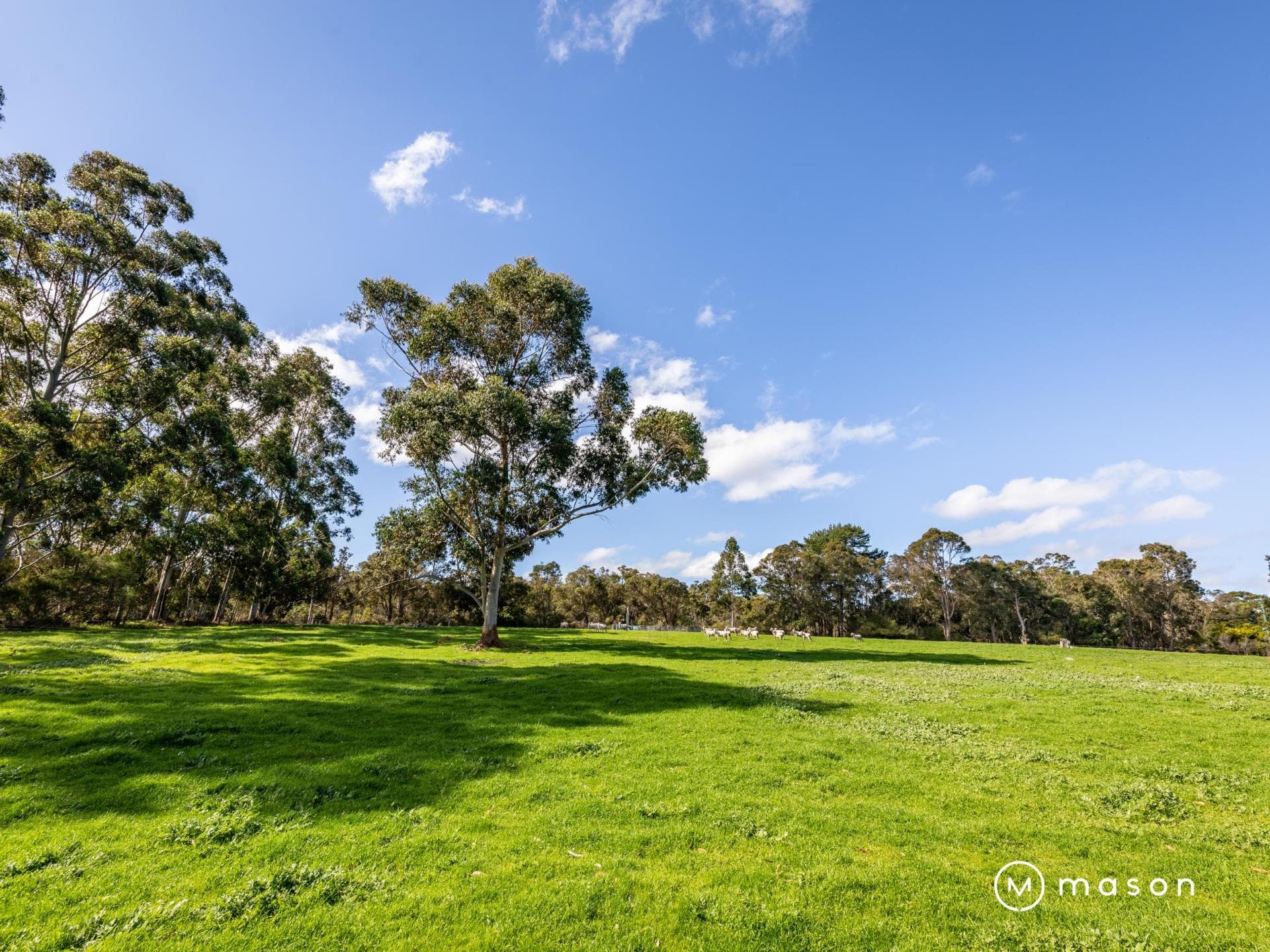 Lot 272 Old Millbrook Road, Millbrook WA, Millbrook - Thumbnail 5