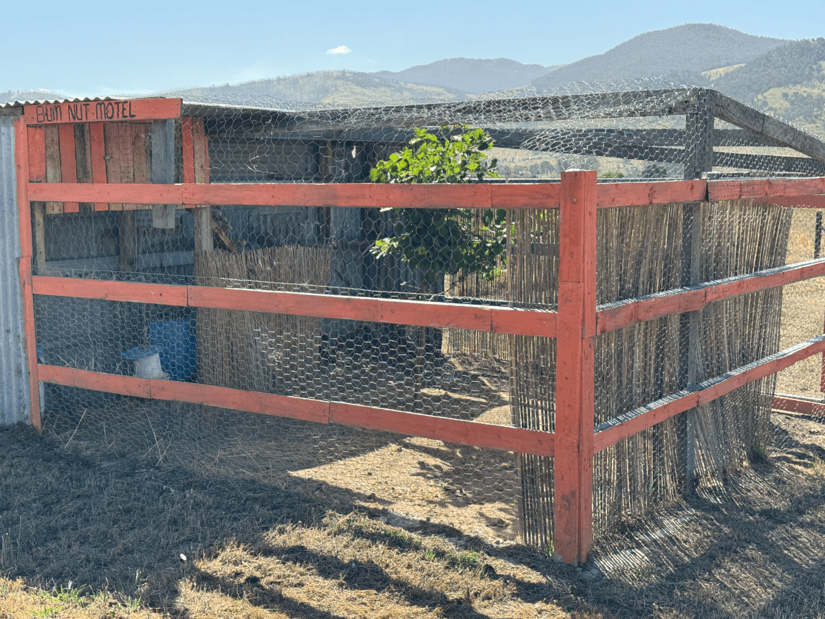 2693 Cudgewa Valley Road, Tintaldra - Thumbnail 7