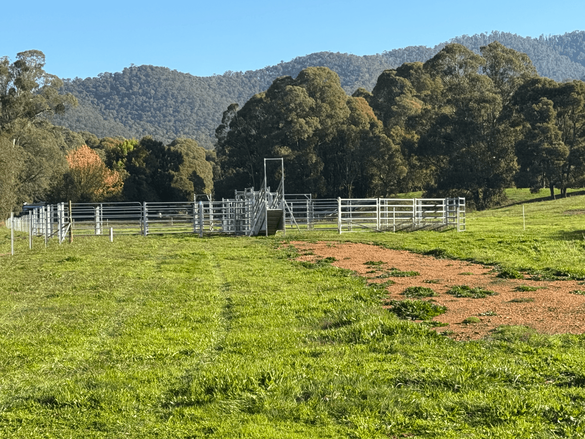 40 Simpsons Creek Track, Nariel Valley - Thumbnail 2